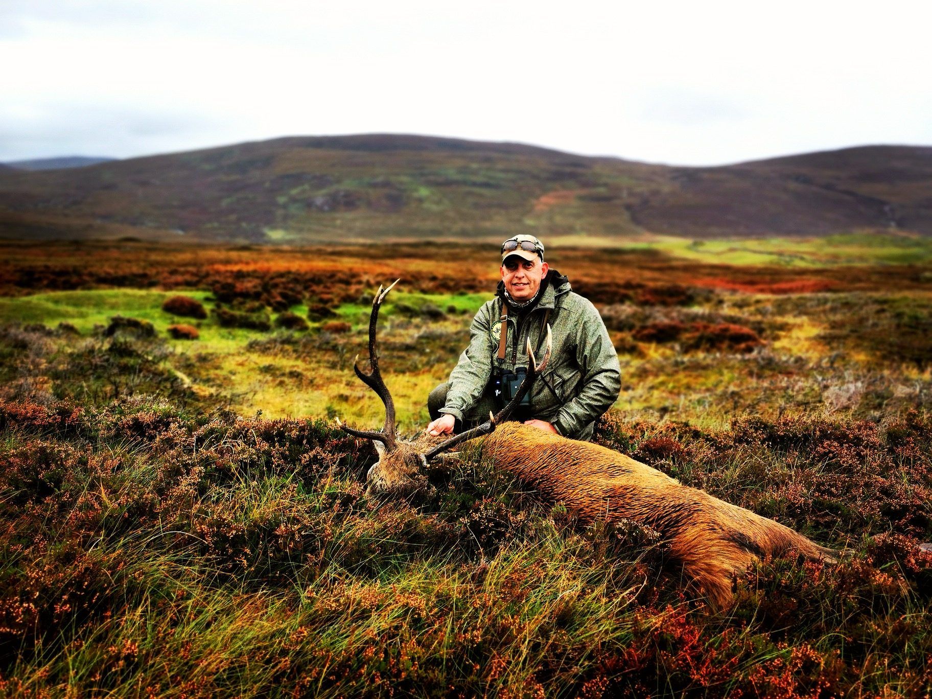 JAGD AUF ROTHIRSCHE IN DEN SCHOTTISCHEN HIGHLANDS - Bild 5