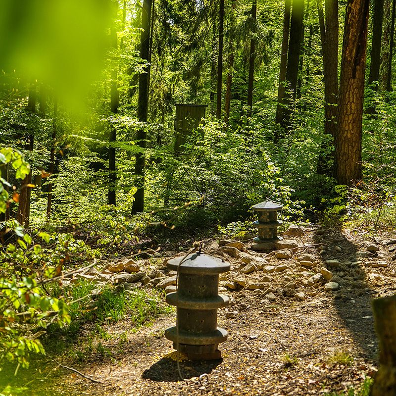 Futterstationen im Wald beim Revierplanung Seminar