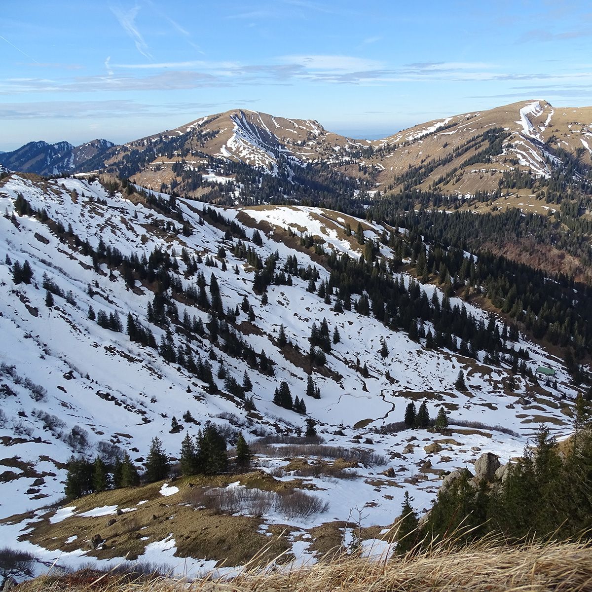 Berglandschaft in Tirol beim Fuchspassen