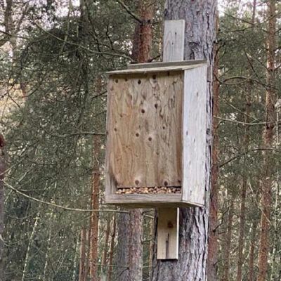 Ein Nistkasten aus dem WCFE-Artenschutz Tag der Waldvegetation
