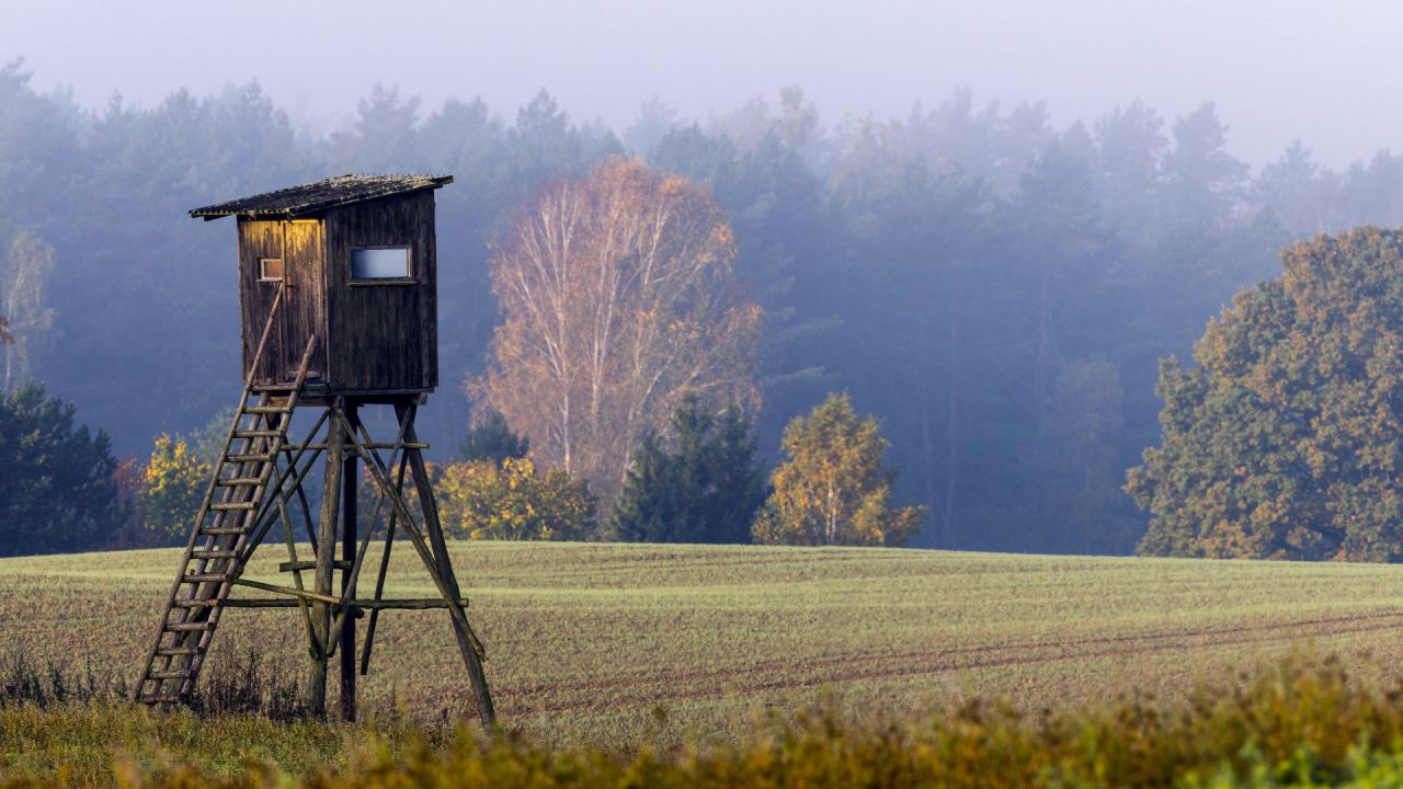 Revierplanung aus Sicht der Berufsjagd