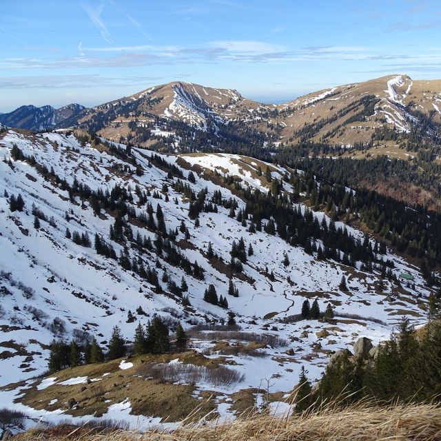 Berglandschaft in Tirol beim Fuchspassen