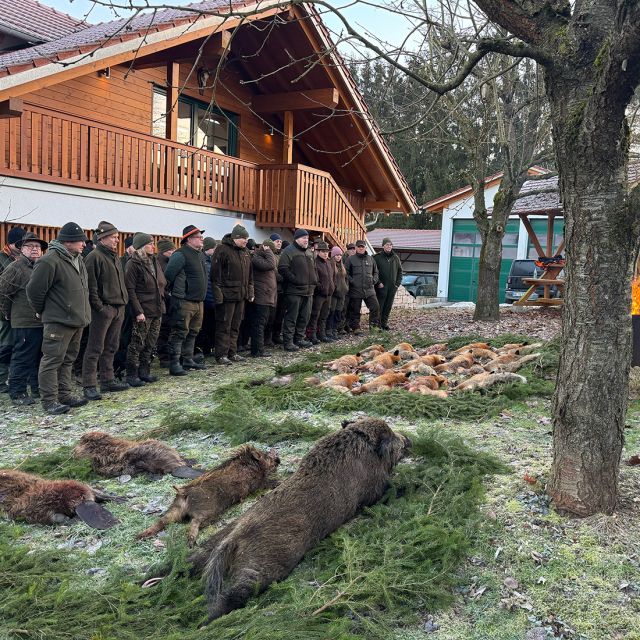 Eine Strecke aus Füchsen und Schwarzwild bei der langen Fuchsnacht von Forst Eibenstein