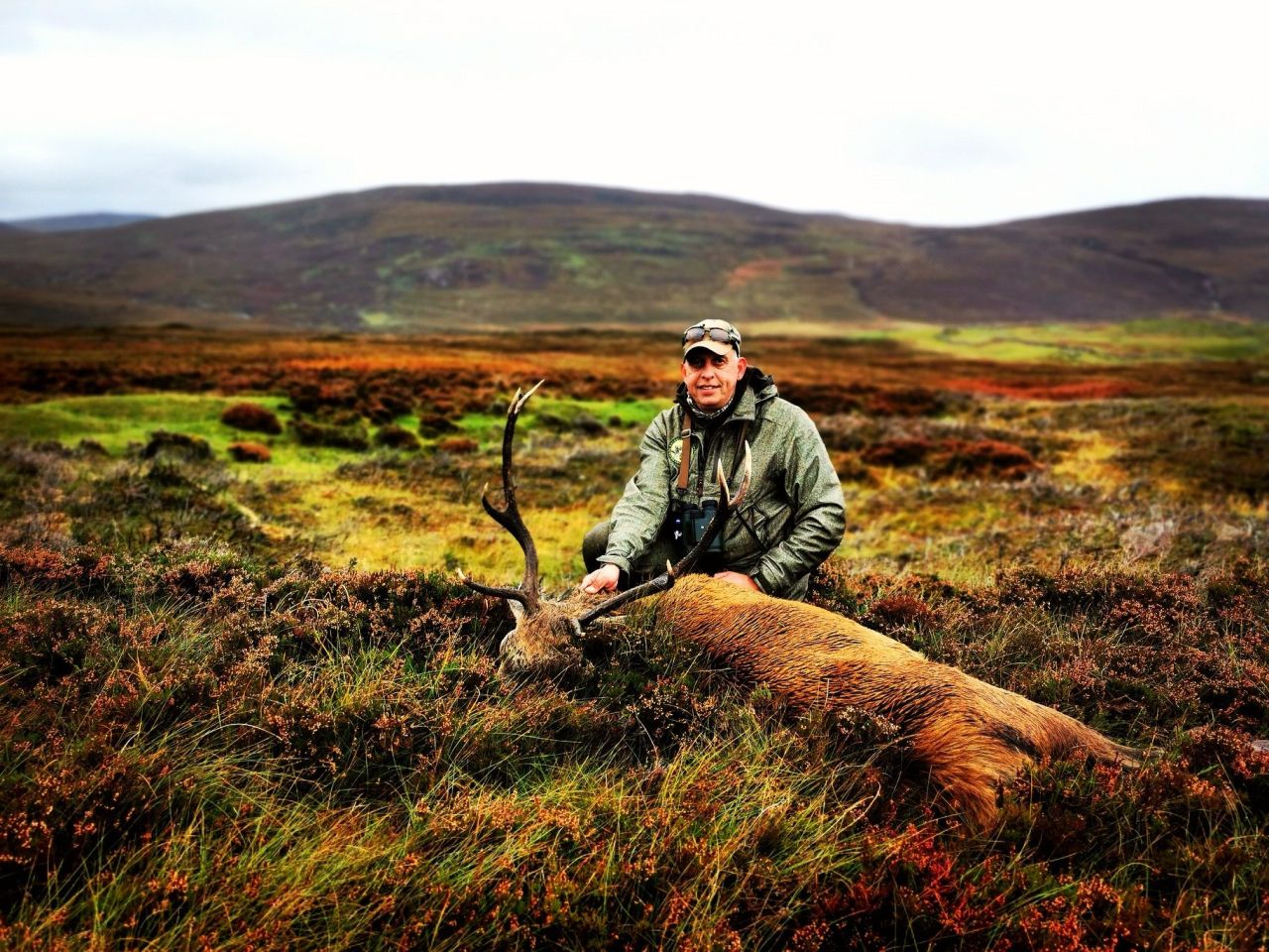 JAGD AUF ROTHIRSCHE IN DEN SCHOTTISCHEN HIGHLANDS - Bild 5
