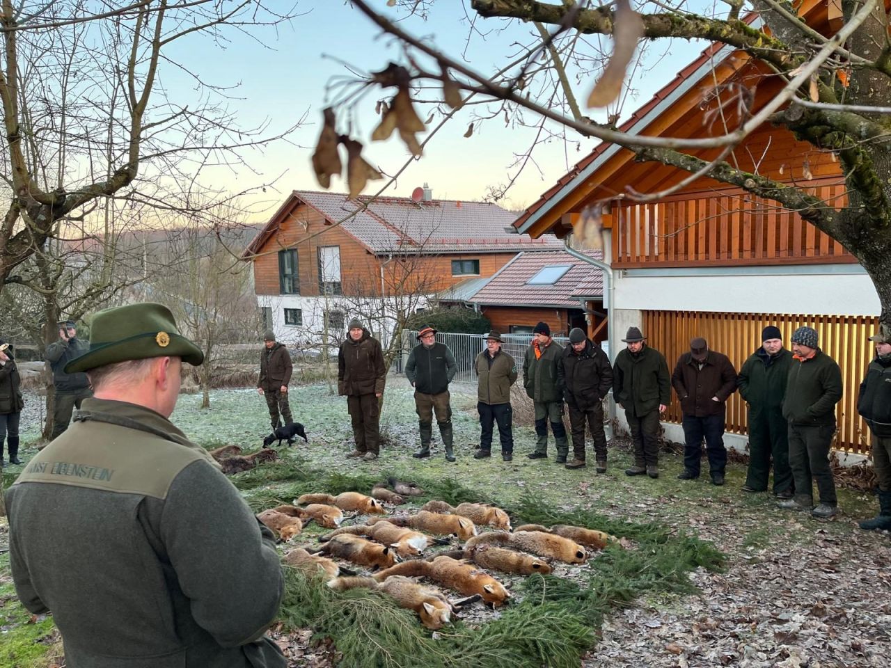 Lange Fuchsnacht - Bild 6