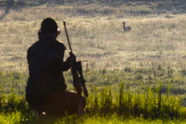 3 Rehböcke in Polen ohne Limit - Bild 4