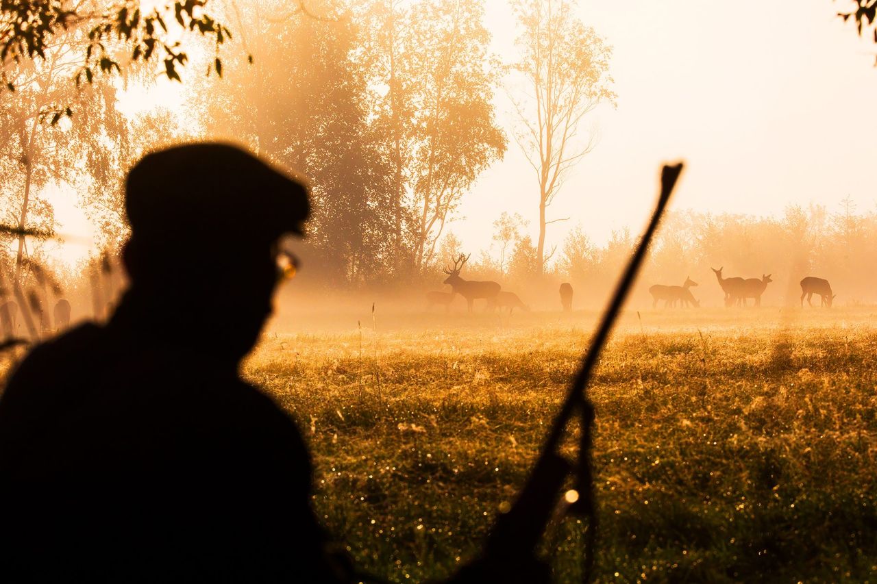 ROTHIRSCHJAGD IN POLEN - Bild 18